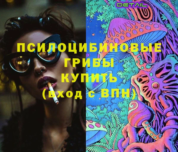 дмт Белокуриха